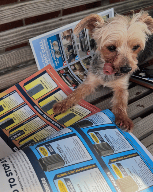 Dog reading Logan Services product book.