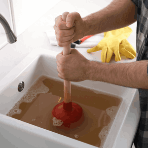 Toilet and drain unclogging