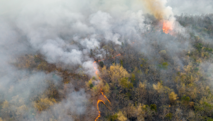 Wildfires across Canada are affecting the air quality in Southern and Central Ohio - Logan Services can help your home breathe easy!